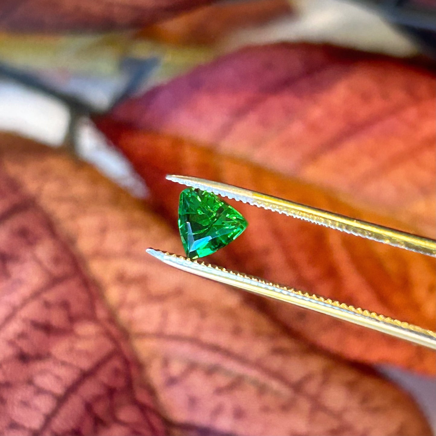 Tsavorite Garnet Trillion, 0.58ct