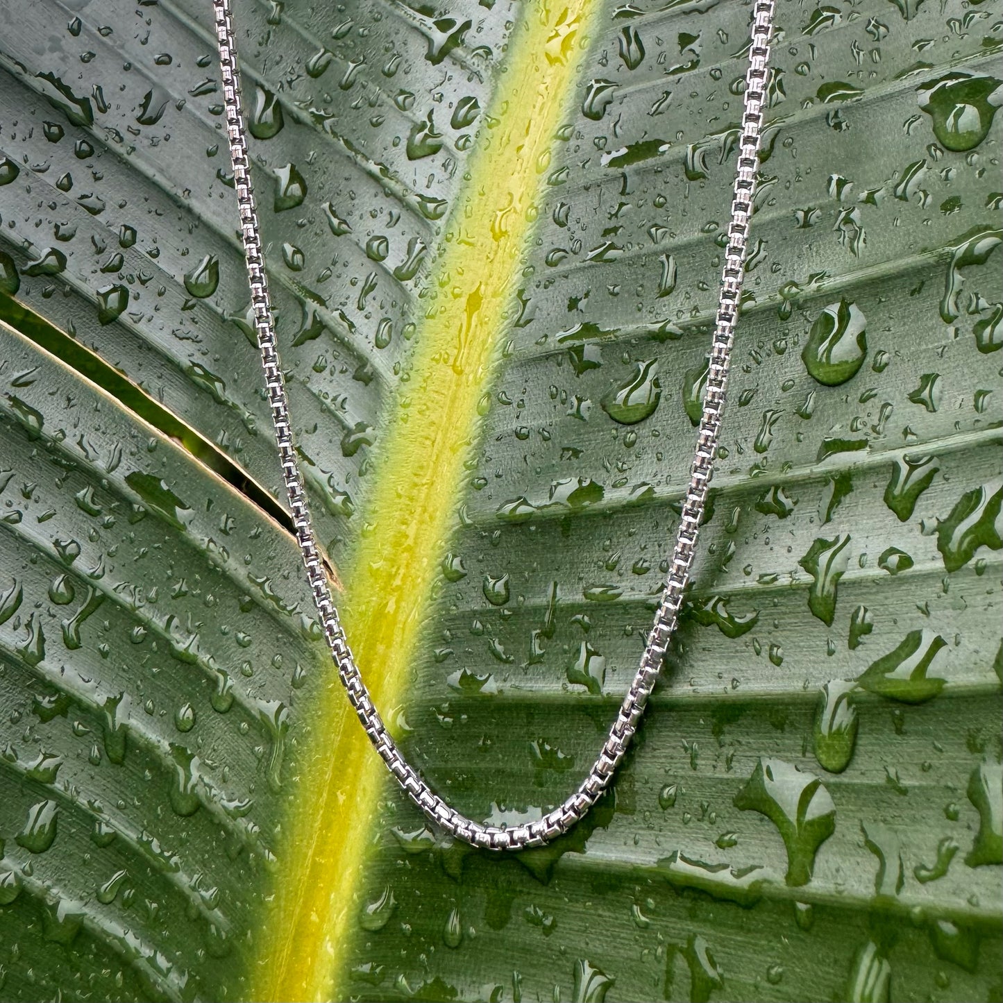 Round Box Chain
