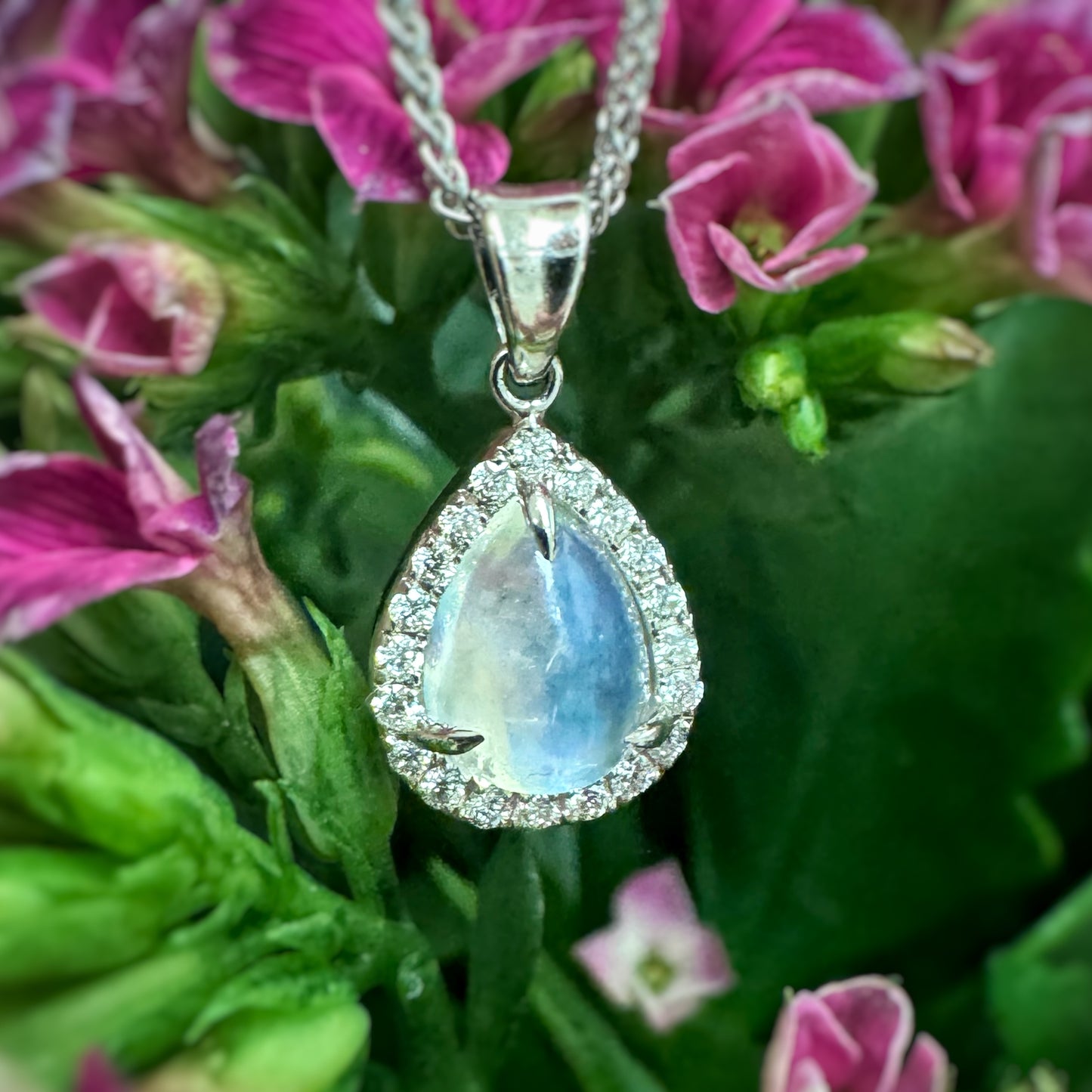 Pear Moonstone Halo Pendant
