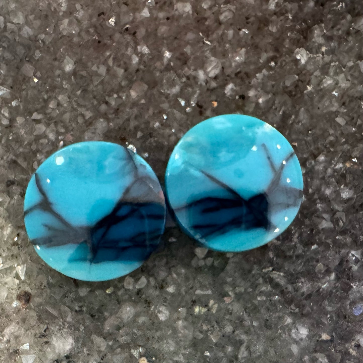 Round Pair Opalized Petrified Wood