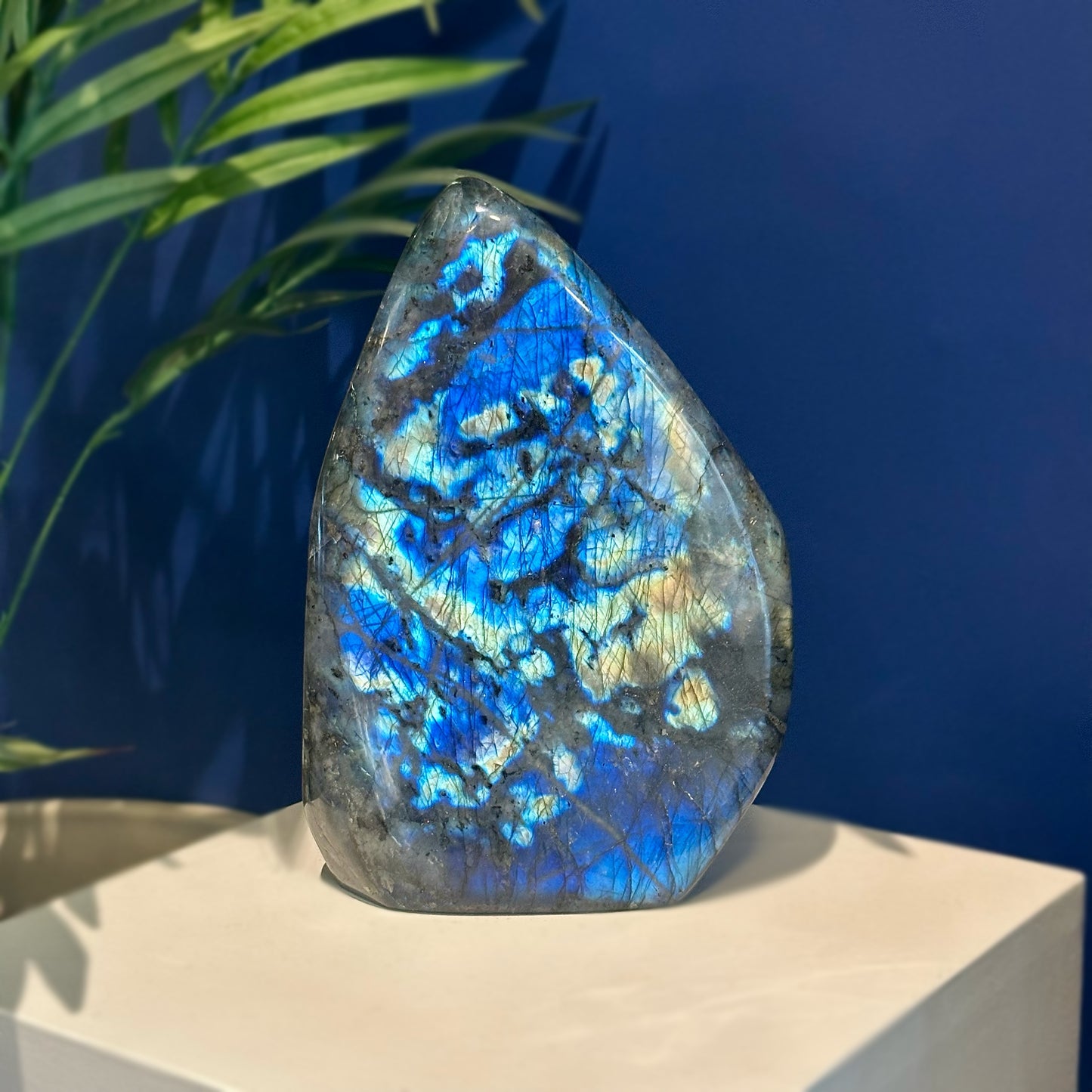 Extra Large Labradorite Specimen
