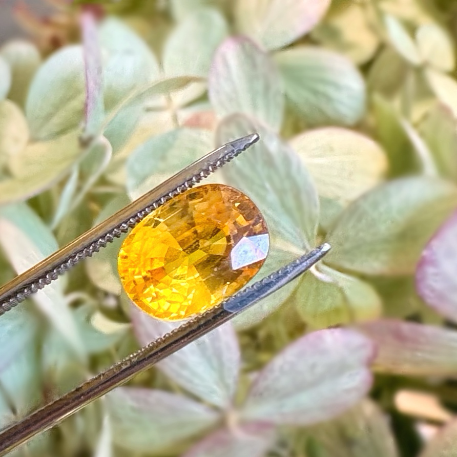 Oval Yellow Sapphire 3.07ct.