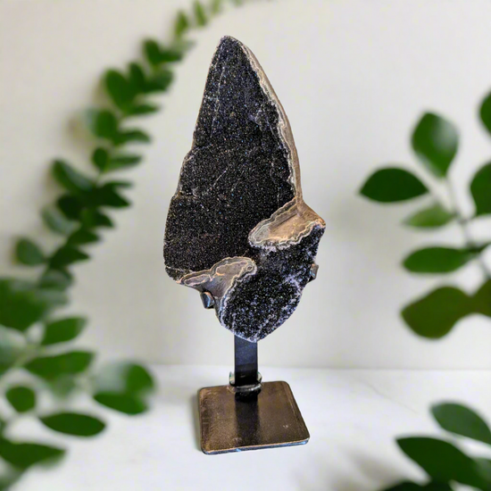 Black Drusy Geode