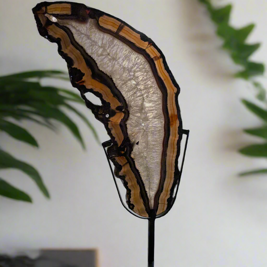 Leaning Agate Slice