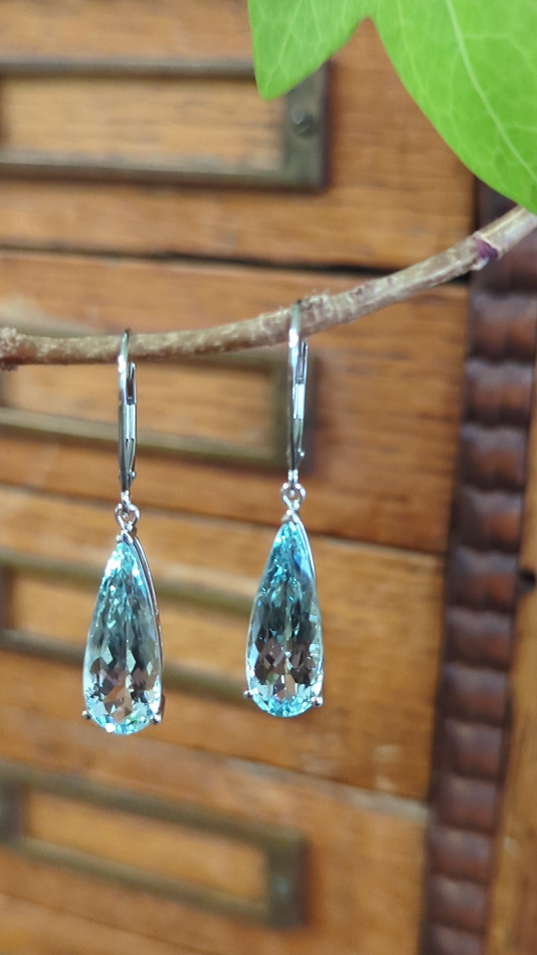 9.49ct Aquamarine Dangle Earrings