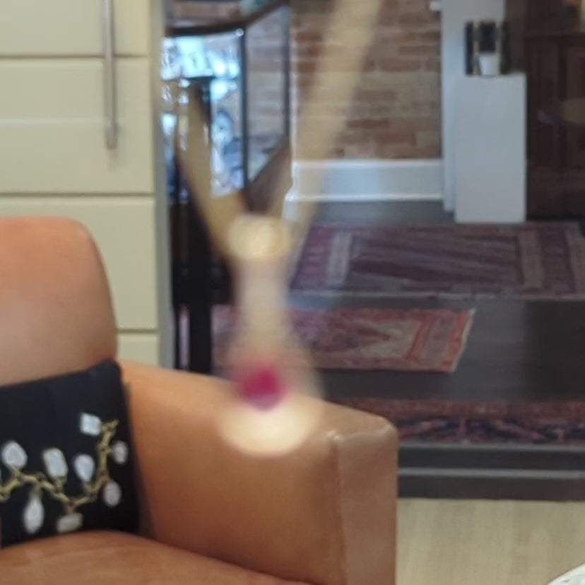 Load and play video in Gallery viewer, Petite Ruby and Diamond Pendant
