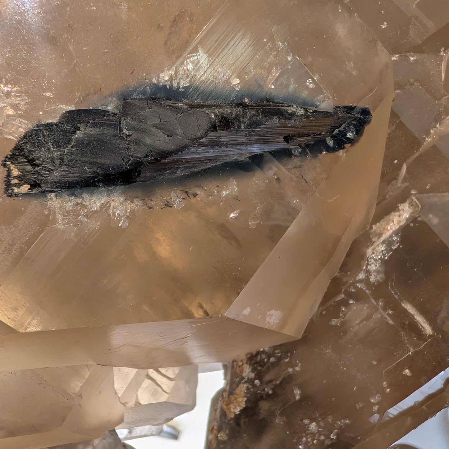 Heart-Shaped Smoky Quartz & Tourmaline Included Quartz