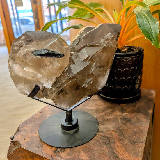 Heart-Shaped Smoky Quartz & Tourmaline Included Quartz