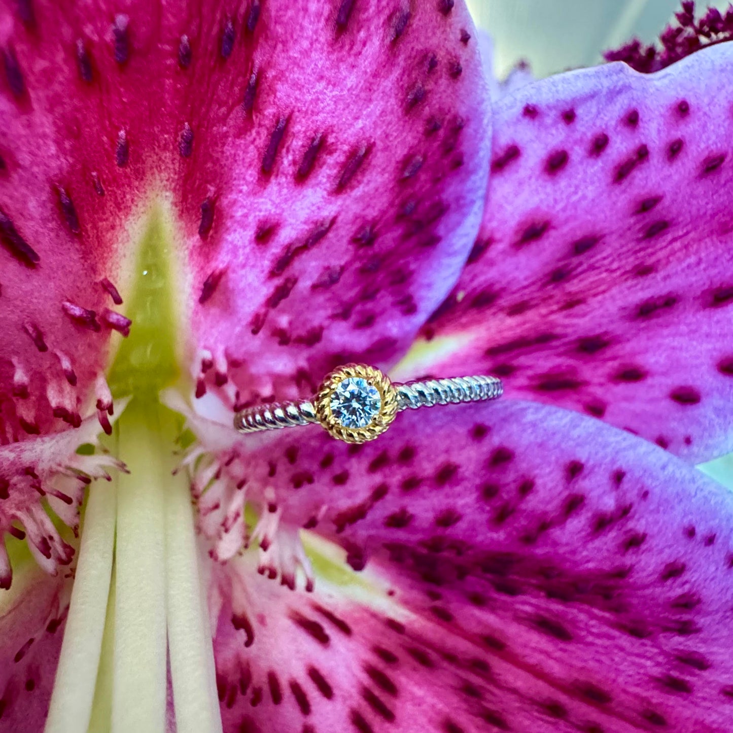 Rope Ring with Bezel