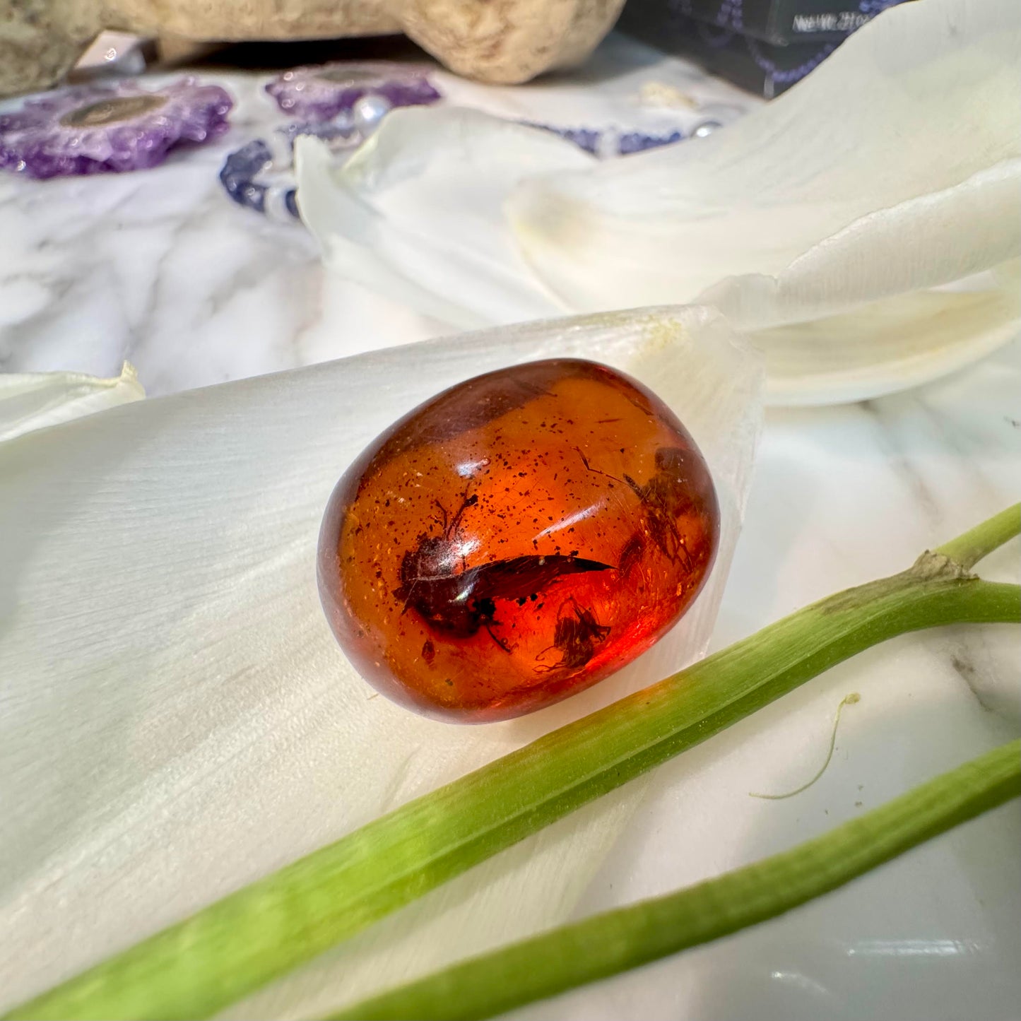 Amber with Inclusions