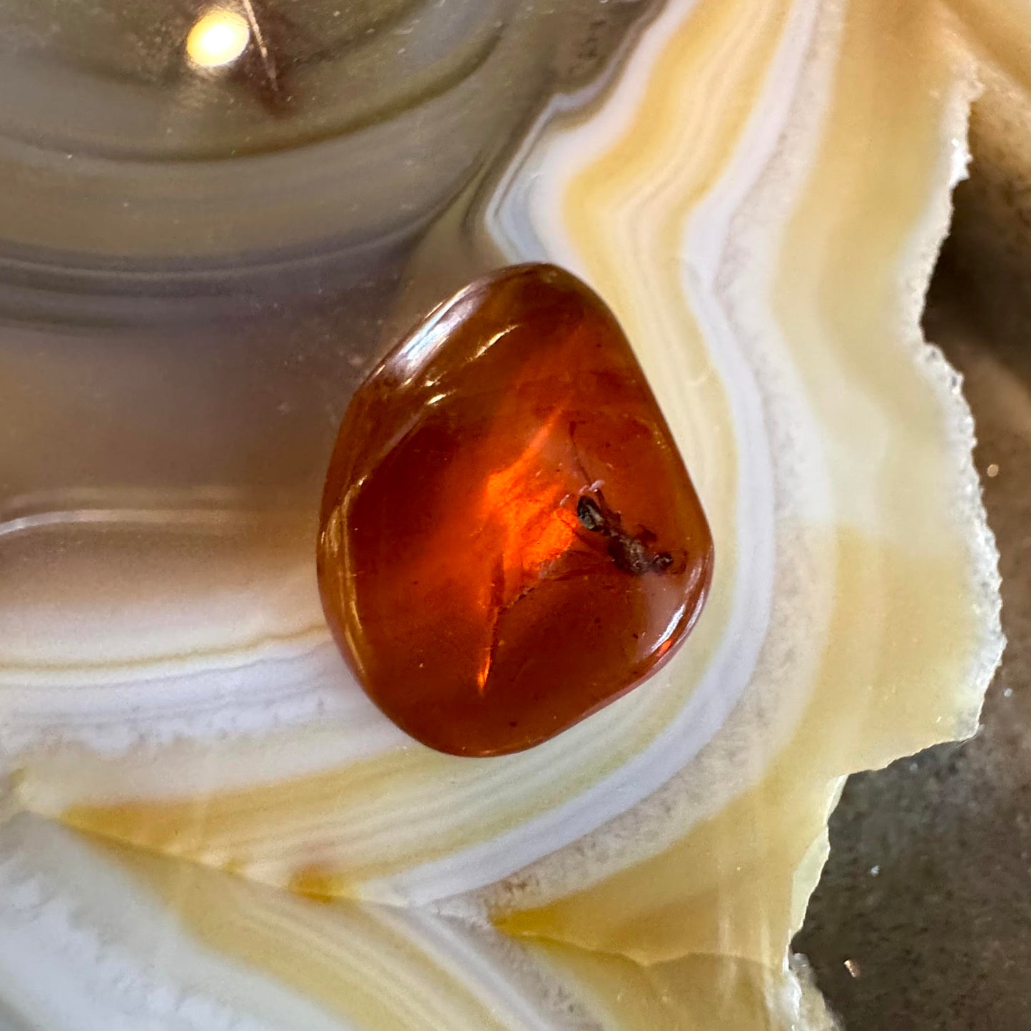 Amber with Inclusions