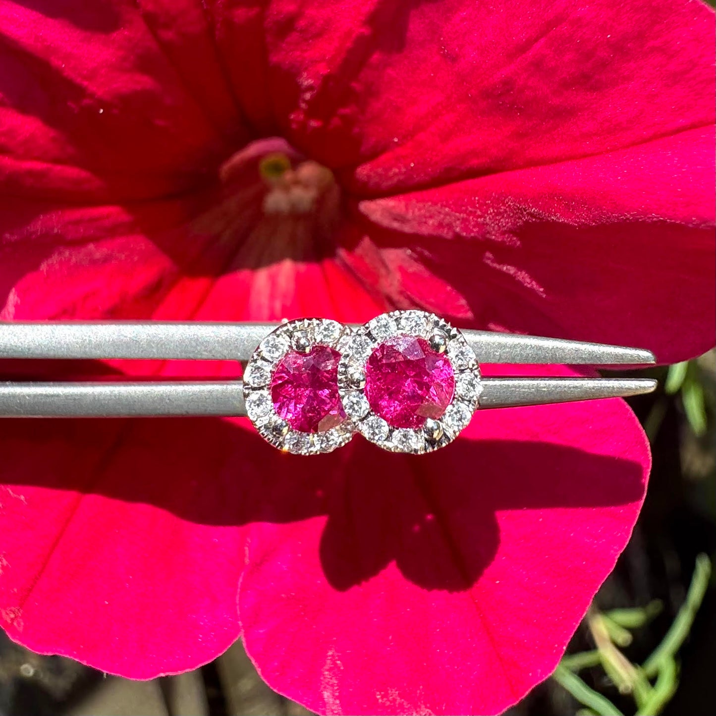 Ruby and Diamond Halo Studs